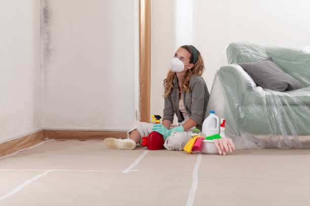 Reliable Commercial Mold Remediation contractor in Madison, GA by WQB Mold Removal